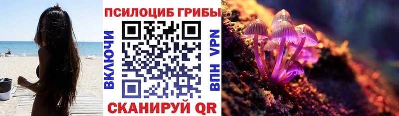 Псилоцибиновые грибы Magic Shrooms купить сайты Тобольск
